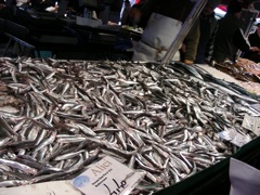 DSCN6077.JPG
