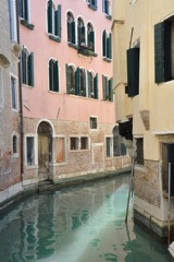 DSC_0703.JPG