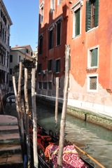 DSC_0704.JPG