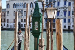 DSC_0706.JPG