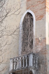 DSC_0797.JPG
