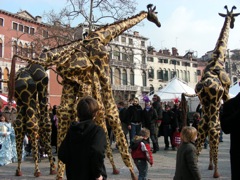 DSCN5911.JPG