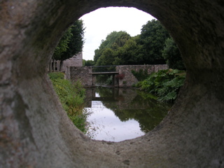 DSCN7039.JPG