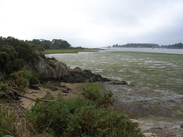 St Armel (marais salans) - Morbihan - 9