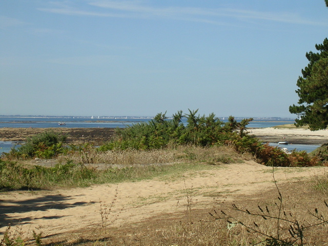 Aux alentours de Locmariaquer - 5