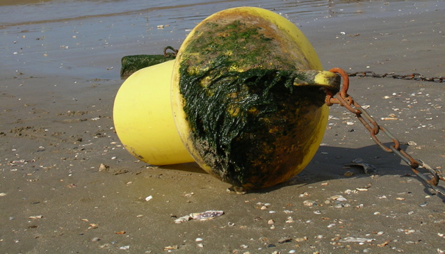 Cote Atlantique - 4