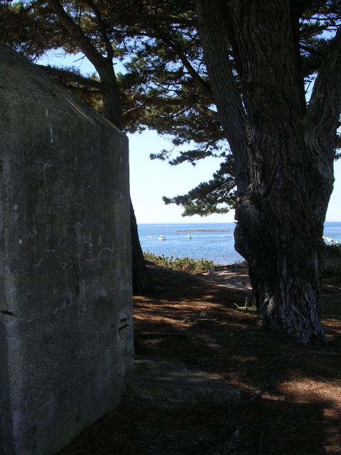 Aux alentours de Locmariaquer - 8