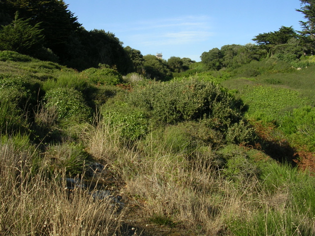 St Gildas de rhuys - Morbihan - 3