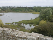 Chateau de Succino - Morbihan - 5