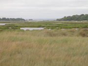 St Armel (marais salans) - Morbihan - 2