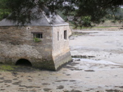 St Armel (marais salans) - Morbihan - 6