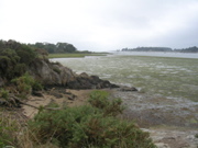 St Armel (marais salans) - Morbihan - 9