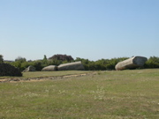 Site megalithique - Locmariaquer - 4