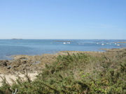 Aux alentours de Locmariaquer - 2
