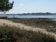 Aux alentours de Locmariaquer - 3