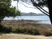 Aux alentours de Locmariaquer - 4