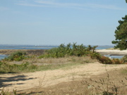 Aux alentours de Locmariaquer - 5