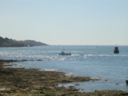 Aux alentours de Locmariaquer - 6