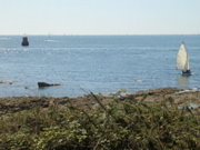Aux alentours de Locmariaquer - 7