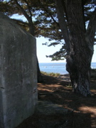 Aux alentours de Locmariaquer - 8