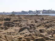 Aux alentours de Locmariaquer - 10