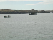 Belle-ile en mer (ile de houat) - Morbihan - 7
