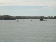 Belle-ile en mer (ile de houat) - Morbihan - 1