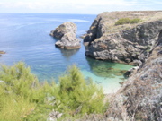 Belle-ile en mer (pointe des poulains) - Morbihan - 4