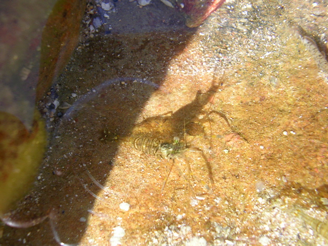DSCN7230.JPG