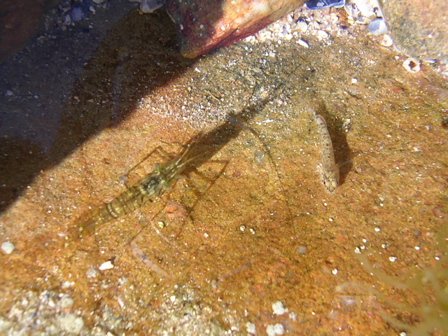 DSCN7231.JPG