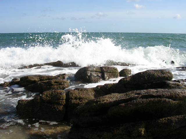 DSCN6785.JPG