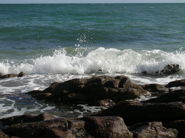 DSCN6786.JPG