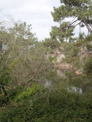 DSCN6923.JPG