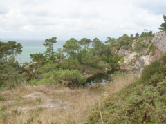 DSCN6925.JPG