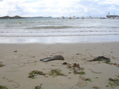 DSCN7057.JPG