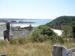 DSCN6746.JPG