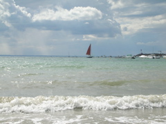DSCN6781.JPG