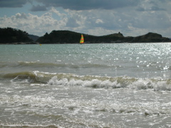 DSCN6782.JPG