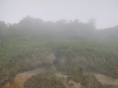 DSCN0285.JPG