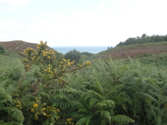 DSCN6914.JPG