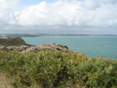 DSCN6915.JPG