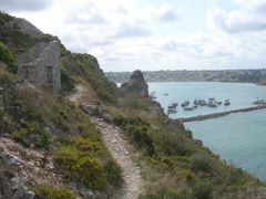 DSCN6920.JPG