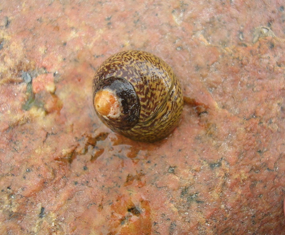 DSCN6856.JPG