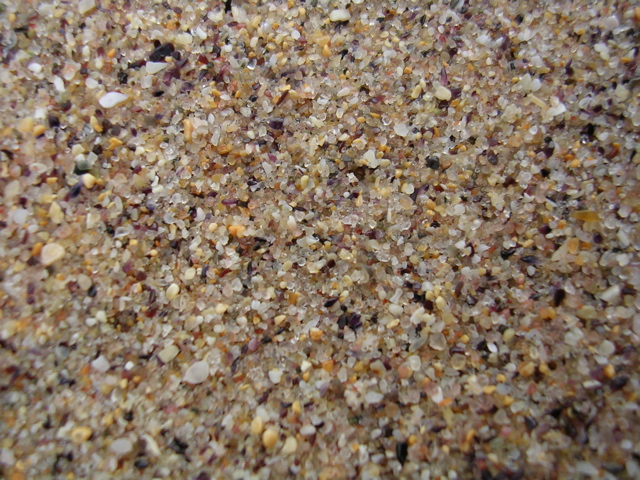 DSCN7024.JPG