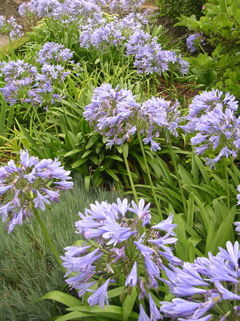 DSCN7036.JPG