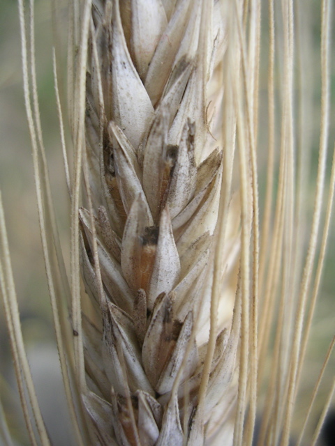 DSCN7194.JPG