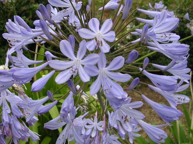 DSCN6728.JPG