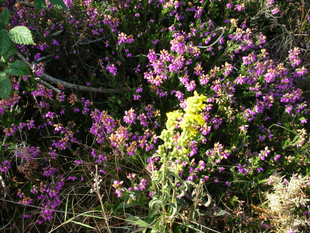 DSCN0290.JPG