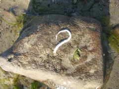 DSCN6695.JPG