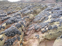 DSCN6702.JPG
